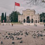 Pigeons gather at the historical Istanbul University Gate, enhancing the city's vibrant atmosphere.