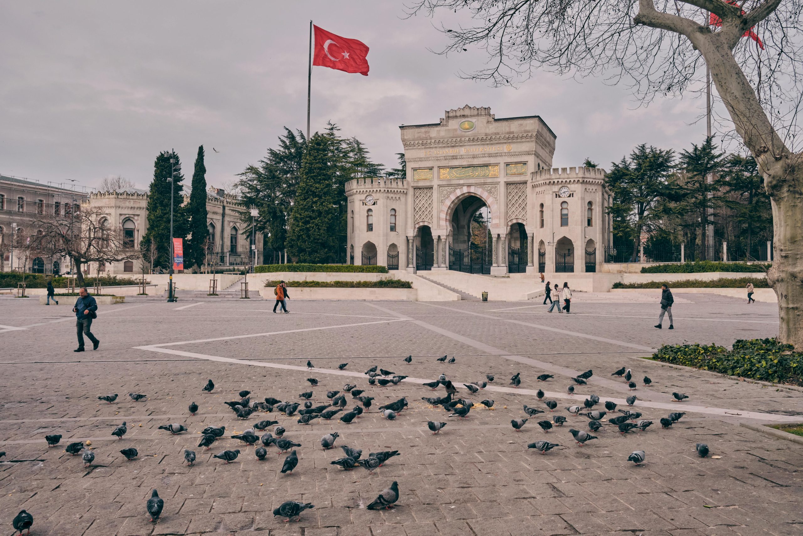 Pigeons gather at the historical Istanbul University Gate, enhancing the city's vibrant atmosphere.
