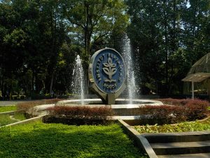Struktur Organisasi Universitas: Panduan Lengkap untuk Mahasiswa Baru