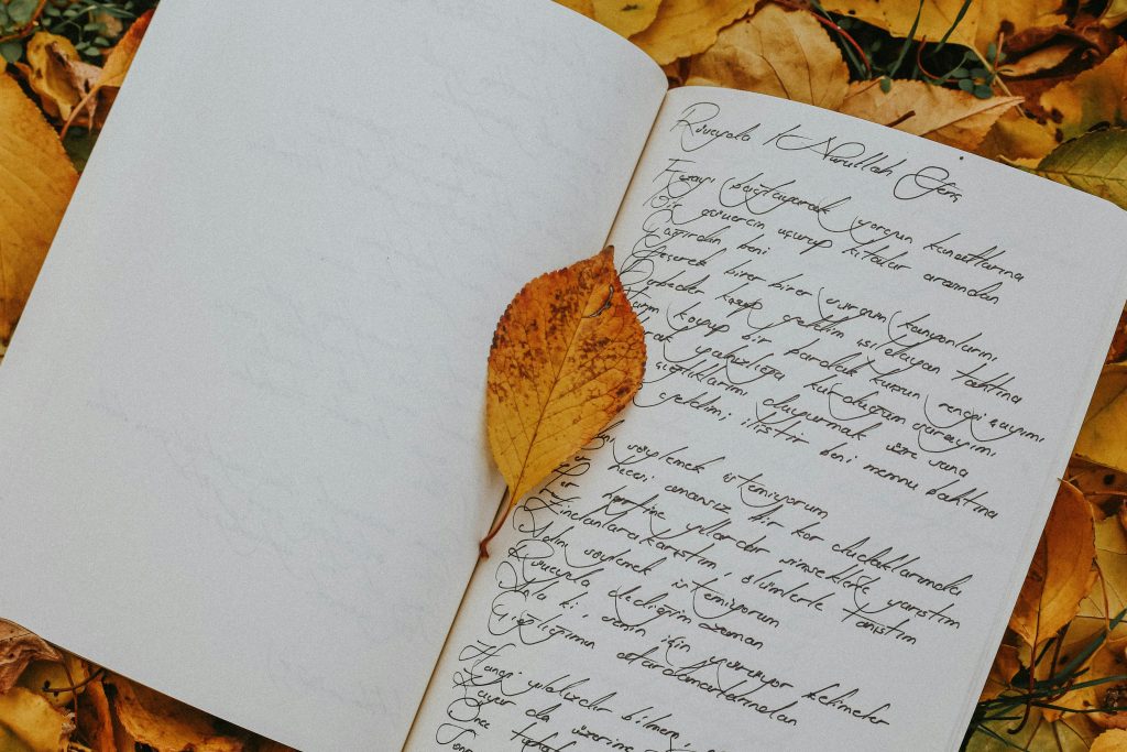 Open journal with handwritten notes and autumn leaves creating a serene fall atmosphere.